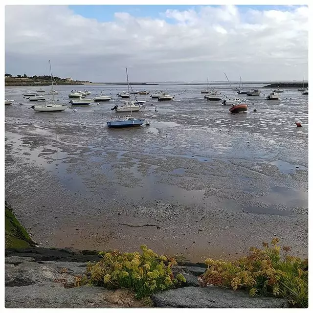 Marée basse - Châtelaillon